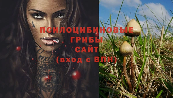 jwh Алзамай