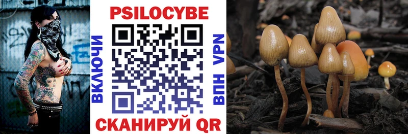 где купить наркоту  Амурск  Галлюциногенные грибы Magic Shrooms 